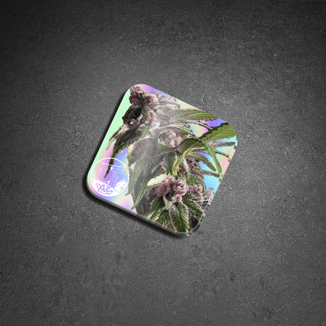 Sticker Packs